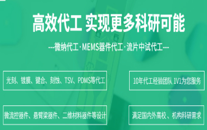 微纳加工 原位芯片 (1).jpg